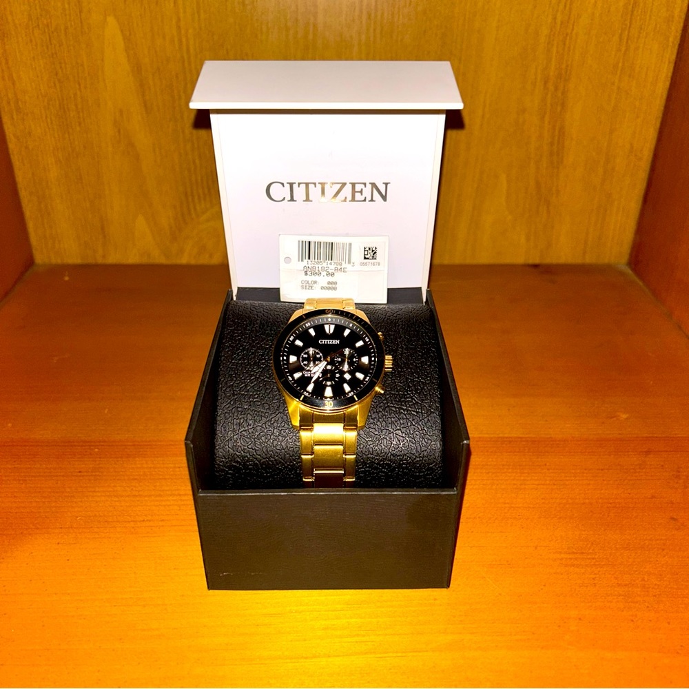 Citizen WR 50 Quartz Men’s Watch Gold Band and Case